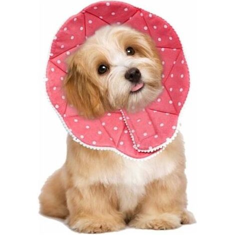 Komfortabler postoperativer Kragen für Katzen und Hunde, robust, wasserdicht, kratz- und bissfest, leicht zu reinigen, mit verstellbarem Verschluss (1/5)
