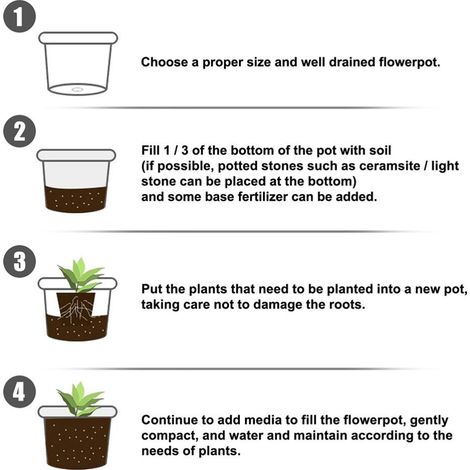 Poudre d'enracinement rapide pour plantes et fleurs, engrais de transplantation à croissance rapide pour améliorer la survie des boutures fleuries (1/5)