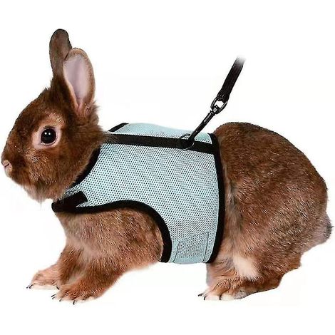 Harnais souple et ajustable pour lapins avec laisse élastique pour petits animaux (lapins, hamsters, chats) (L, vert clair) Hy (1/5)