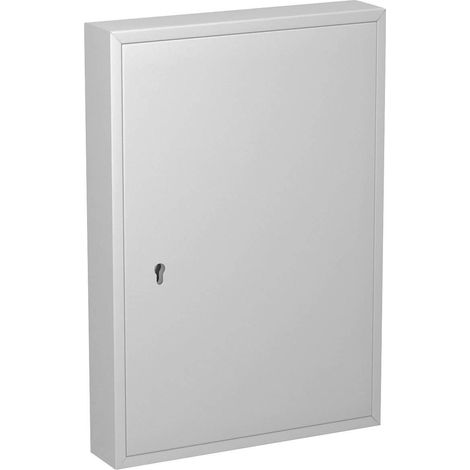 Basi SS 100 PZ Armadio per chiavi grigio 100 ganci