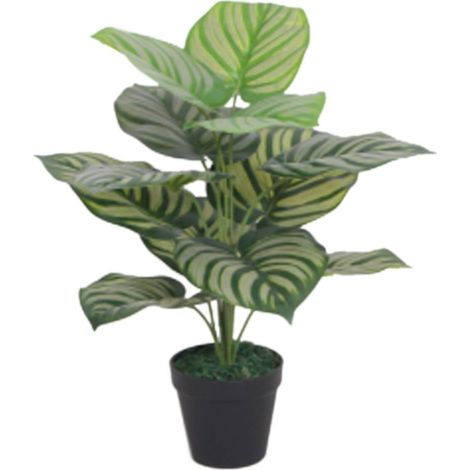 60cm Artificial Green Stripe Leaf Plant (1/3)