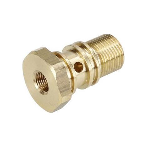 Bouchon pour Nettoyeur pression BOSCH OUTILLAGES - F016L73362