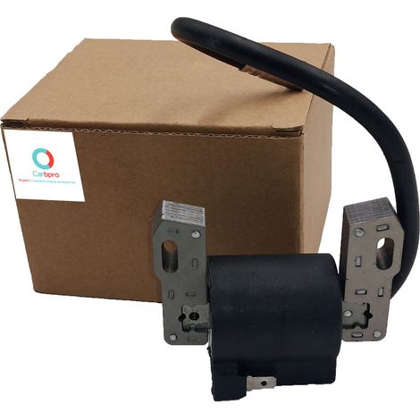 Transformateurs haute tension Briggs & Stratton : 590455, 793354, 799382