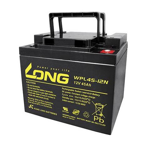 Long WPL45-12 Batterie au plomb 12 V 45 Ah noire (1/2)