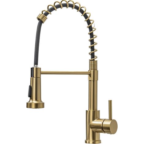 Robinet Cuisine Douchette Doré LOMAZOO Luxor (1/5)