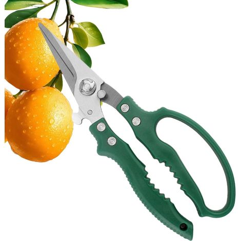 Forbici da potatura per giardino  Forbici da potatura ergonomiche e resistenti, in acciaio, adatte per prati, giardini e paesaggistica. (1/4)