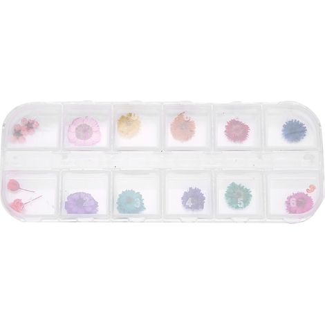 Boîte de 12 teintes de fleurs séchées pour décoration d'ongles DIY, accessoires de nail art style D (1/5)