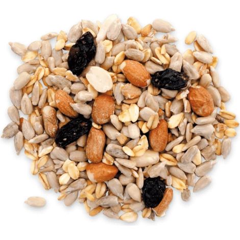 Agrarshop Schalenlos Premium 25 kg Vogelfutter Ganzjahresfutter Gartenvögel
