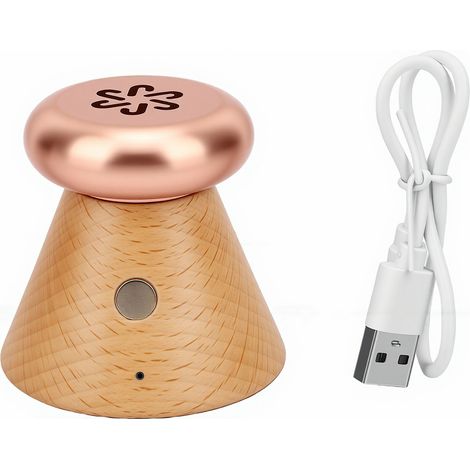 Diffuseur de parfum électrique à température contrôlée, rechargeable et léger, pour huiles essentielles (1/5)