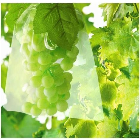 100 Fruit Protection Net Bags for Grape Clusters, Against Birds, Insects, Wasps, and Hornets, 30 x 20 cm (1/4)