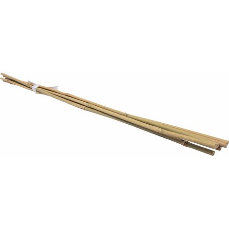 Lot de 6 tuteurs en bambou WERKA PRO H 90cm (Ø 8-10 mm)