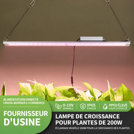 Lampe horticole LED 200W avec lentilles éclairage plantes intérieur spectre complet 704 LED 185-277V 1100x1100x60mm 4,35 kg – Livraison gratuite (1/5)