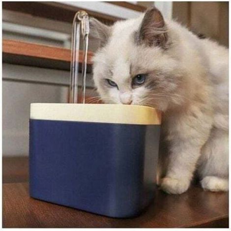Fontaine à eau pour chat - Filtre automatique USB Muette - Animalerie - 1 5L bleu foncé (1/2)