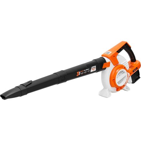 RURIS Souffleur Aspirateur Broyeur à Batterie 1244e sans Fil Brushless 3-en-1 2x20V 4Ah 80 m/s 650 m³/h (1/4)