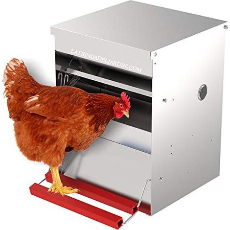 Comedero automático para 3 gallinas Capacidad 6 Kg Tolva para Gallina 25x37x38 cm (1/5)