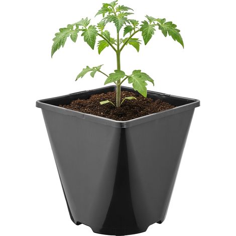Garronda Pot de Fleur Carré Arrondi Plastique 14 × H 14 cm (2L) Godet Semis Pot de Pépinière Drainage Résistant Intempéries pour Culture Plantes Jardin Serre Intérieur Extérieur GD-0200