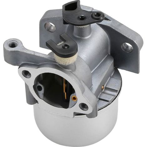 Carburateur carburateur pour Briggs & Stratton 799871 790845 799866 796707 794304 (1/5)