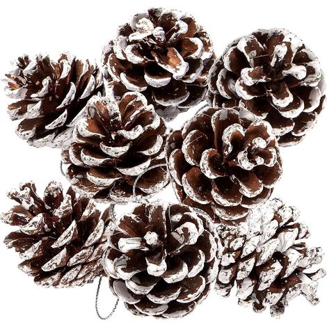 18pcs Nol 5-6cm Naturel Pignons De Pin En Vrac Rouille Couleur Cdre Avec Corde Pignons De Pin Pendentif (1/4)