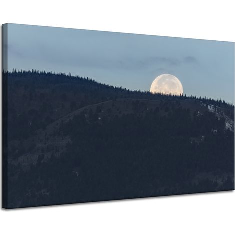 Leinwanddruck Natur Aufgehender Mond 120x80