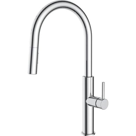 Swiss Aqua Technologies Küchenmischer mit ausziehbarer 2-Strahl-Brause, Chrom (SATBSD286) (1/2)