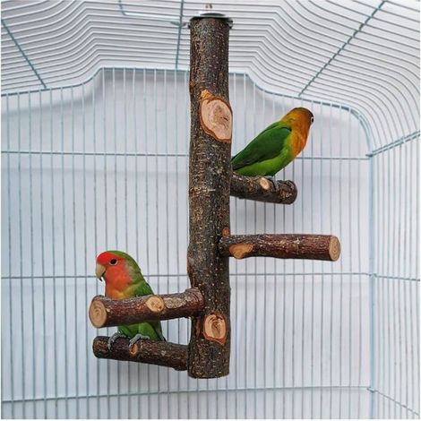 Perchoir pour oiseaux - 1 pièce - Bois et sable de quartz - 30 cm - Cage (1/4)