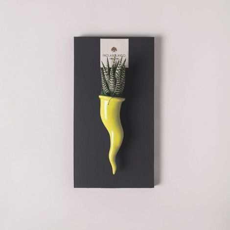 Plante succulente en pot de céramique artisanale Cornetto - Jaune