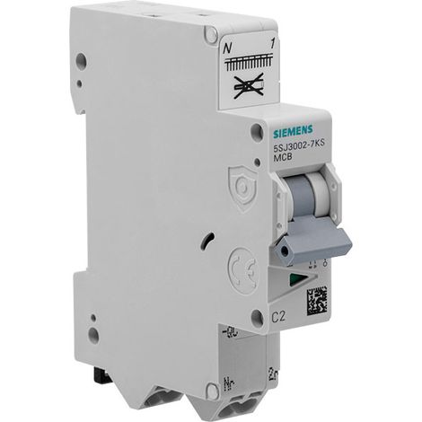 Disjoncteur Auto P+N 2A
