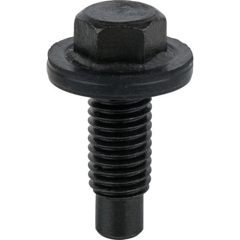 Vis de vidange,6 pans 15mm,M12x1,75x28,5mm, pack de 25