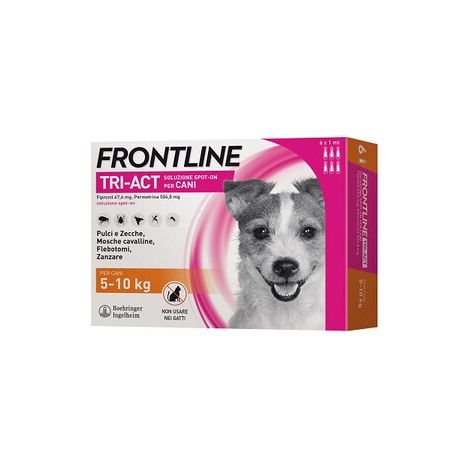 FRONTLINE TRI-ACT  5-10 KG 6 PIPETTE OFF. SPECIALE- FRONTLINE- 1,0 pz