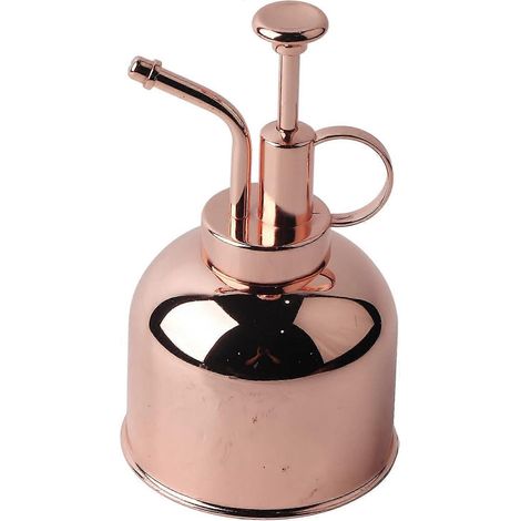 Arrosoir en métal, arrosoir pour plantes, arrosoir d'intérieur en acier inoxydable, petit arrosoir pour la maison (1/5)