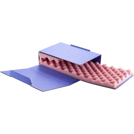 Wolfgang Warmbier Boîte antistatique (ESD) (L x l x H) 20 x 14 x 5 cm conducteur 5510.907 (1/2)