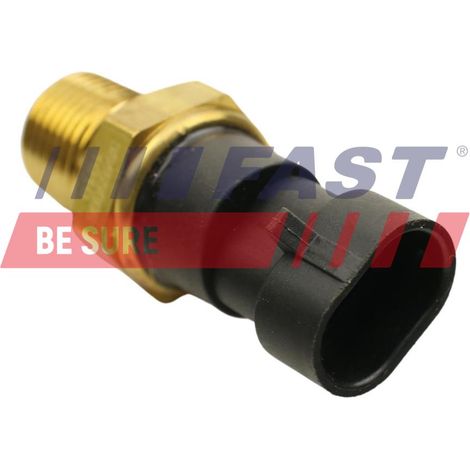 Sensore rapido di temperatura dell'acqua FT80106 (1/3)