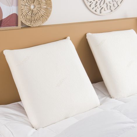 Oreiller Visco Nature - 45/70 - DUNLOPILLO (1/2)