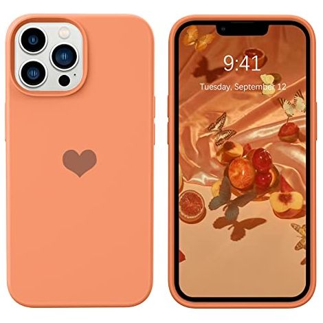 Hülle für Apple iPhone 13 Pro Max 6,7 Zoll, Silikon, orange Rückseite