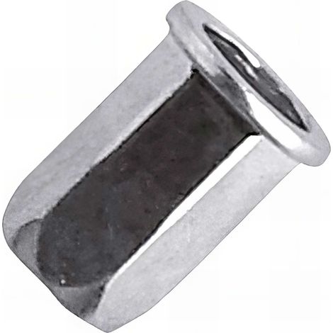 100 écrous à sertir hexagonal acier zingué TP, D. M 10 x 24 mm - HCD1040 - Scell-it
