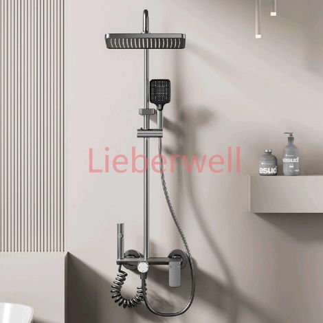 Ensemble de système de douche multifonction pour salle de bain, eau chaude et froide, bouton rotatif domestique, pressurisé en aluminium, ensemble de douche gris bronze (1/4)