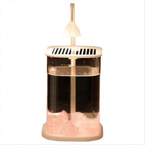 Mini-Tisch-Aquarium aus Glas mit farbiger Kristall-LED-Beleuchtung, hochwertige Dekolampe B (1/5)