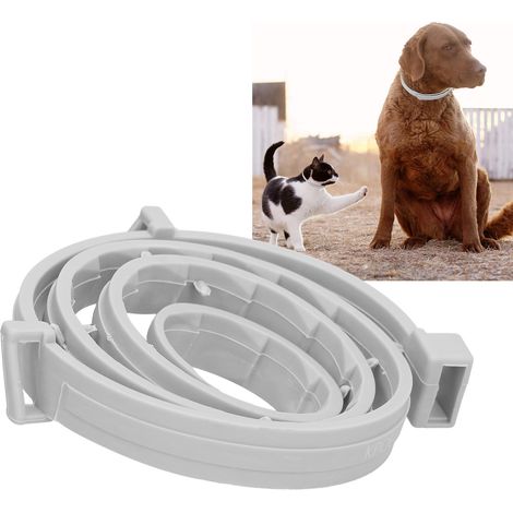 Collier anti-moustiques ajustable pour chats et chiens, collier anti-puces et anti-acariens, emballage OPP - Grand chien (1/5)