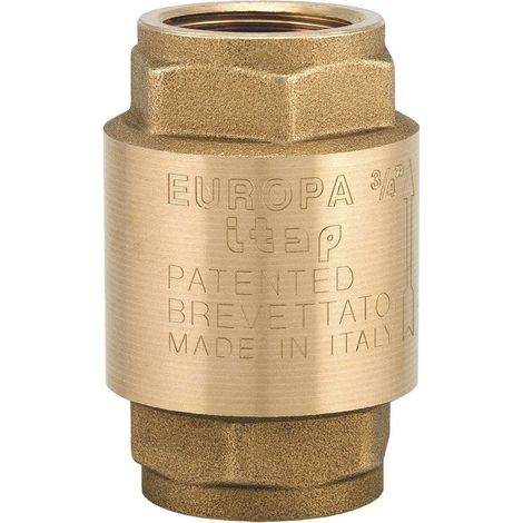 Clapet de retenue Europa® 2 1/2'' FF des deux côtés