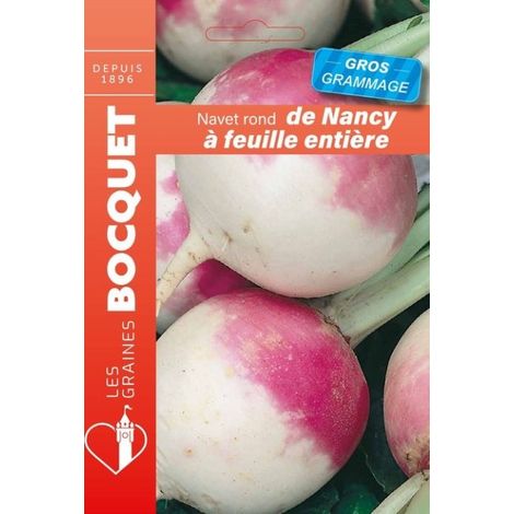 Navet de Nancy à feuille entière GROS GRAMMAGE - 18g