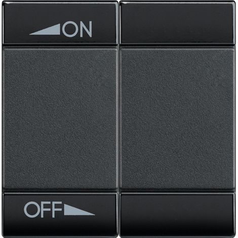 Manette Livinglight MyHOME BUS diff sonore variation 2 mod anthracite BTICINO L4911M2AIN (1/2)
