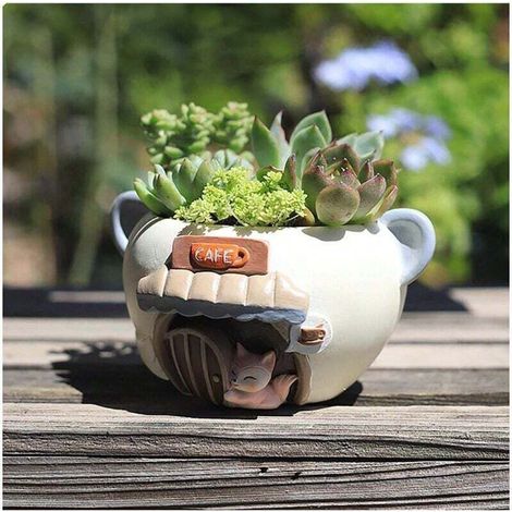 Pot de fleurs pour plantes succulentes, pot de 4 pouces, pot de fleurs, pot de plantes d'intérieur avec drainage, pot de plantes d'intérieur (renard, 1 paquet) (1/4)