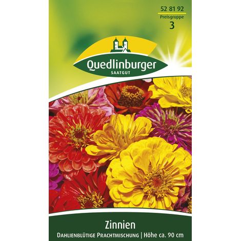 Quedlinburger Saatgut – Zinnia à fleurs de dahlia en mélange – Graines de fleurs, hauteur env. 90 cm, environ 25 plants (1/2)