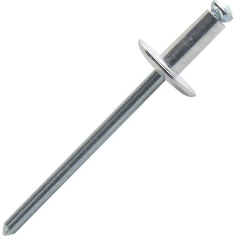 Rivets éclatés tête large aluminium/acier PAL Ø4,8x12mm - Boite de 250 (1/3)
