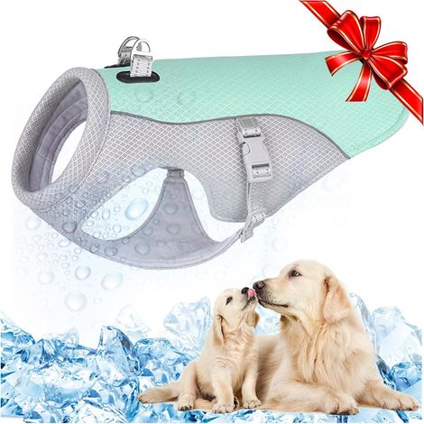 Veste Rafraîchissante pour Chien (1/5)