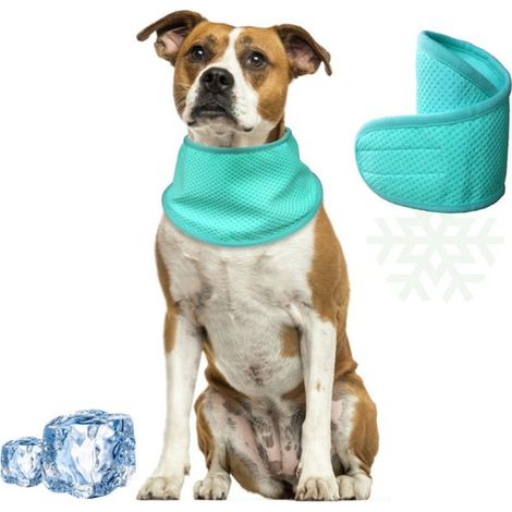 Scaldacollo confezione da 2, taglia M. Lunghezza: 40 cm. Circonferenza del collo: 26-35 cm. Scaldacollo/Bandana rinfrescante per animali domestici. Scaldacollo traspirante e rinfrescante. (1/5)