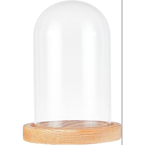 Dôme en Verre, Rose Cloche Bocal en Verre Clair Dôme Affichage Centre de Table avec Base en Bois pour Gâteau Fleur Fête (1/5)