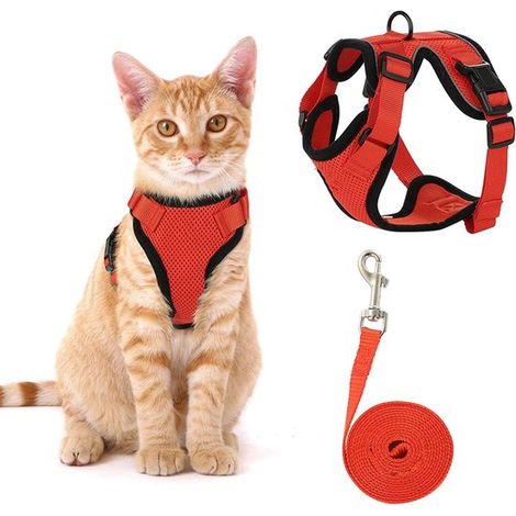 Katzengeschirr mit Leine Katzengeschirr Katzenleine Katzenleine Verstellbar Reflektierend Größe XS mit reflektierenden Streifen für und Blau (1/5)