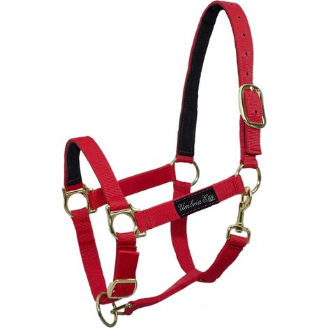 Pony, Turchese: Cavezza in nylon doppio con rinforzo in pelle doppia regolazione