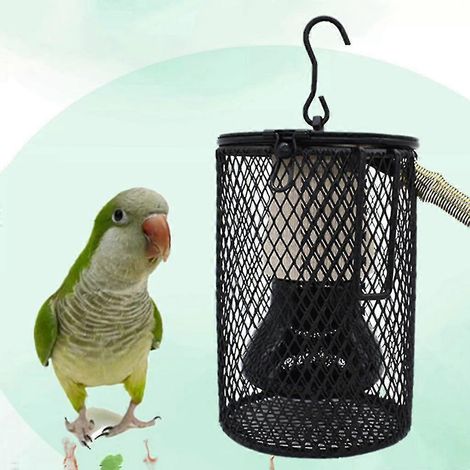 Lampe chauffante d'hiver pour reptiles, kit de chauffage pour poulailler, lampe chauffante pour perroquets, éclairage polyvalent pour tortues (1/5)